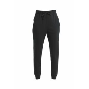 Dámské merino kalhoty ICEBREAKER Wmns Merino Crush II Pants, Black velikost: L