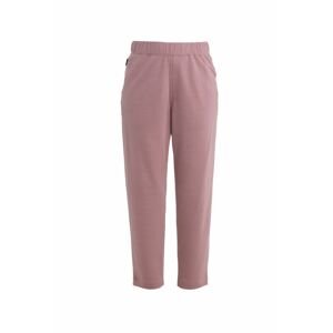 ICEBREAKER Wmns Merino Crush II Ankle Pants, Crystal velikost: XL