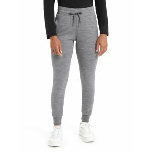 Dámské kalhoty ICEBREAKER Wmns Crush Pants, Gritstone Heather velikost: S