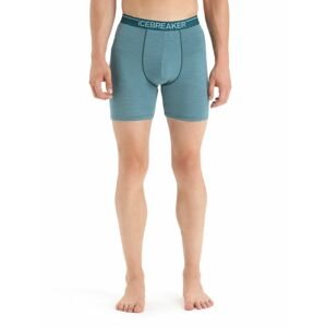 ICEBREAKER Mens Anatomica Long Boxers, Green Glory/Astral Blue velikost: L